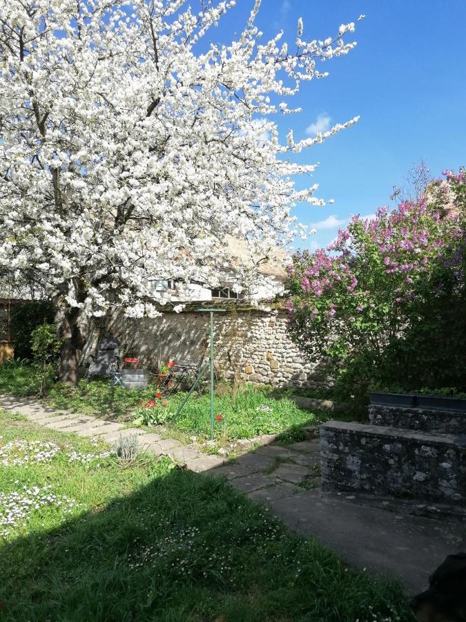 Apartamento Chez Marylene Soisy-sur-Ecole Exterior foto